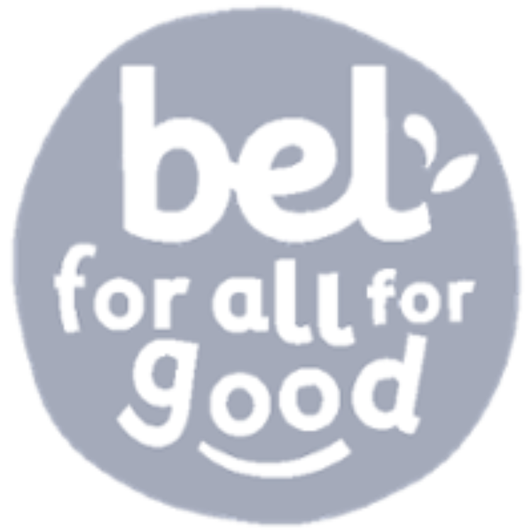 Nouveau Logo Bel 1