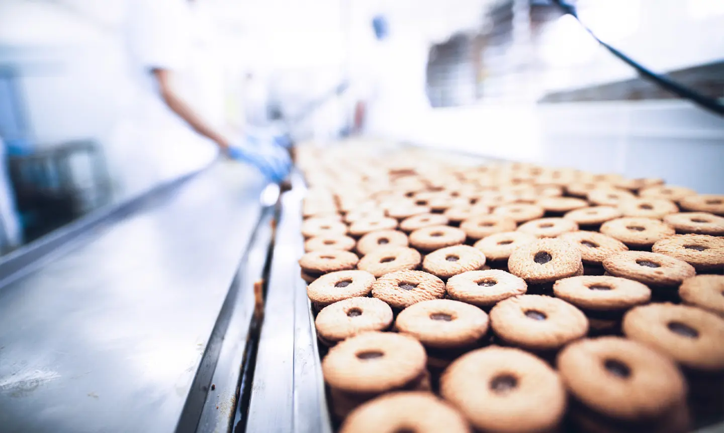 A conveyor belt loaded with freshly baked cookies, showcasing a variety of shapes and sizes.