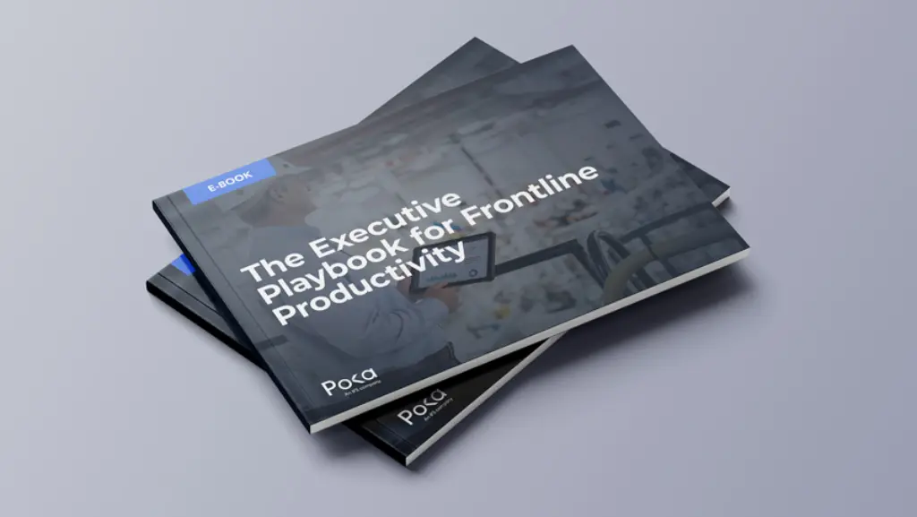 ebook executive playbook
